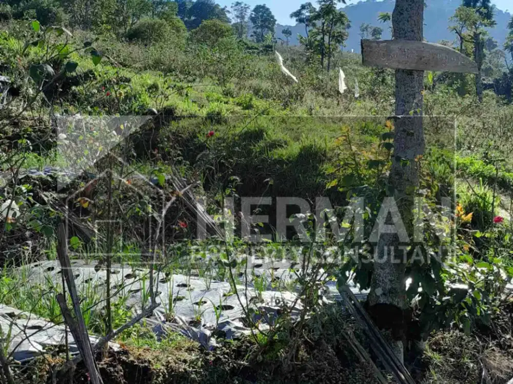 Tanah Gedongsongo Bandungan Ambarawa