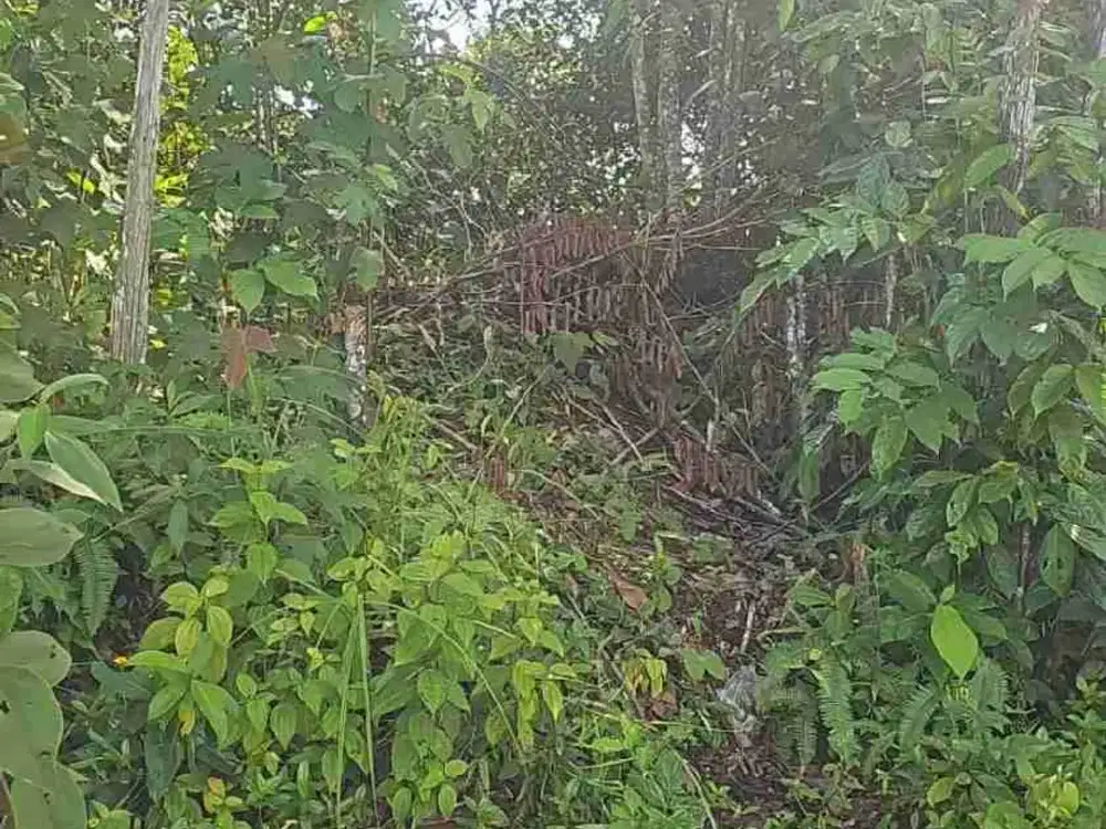 Tanah Siap Bangun