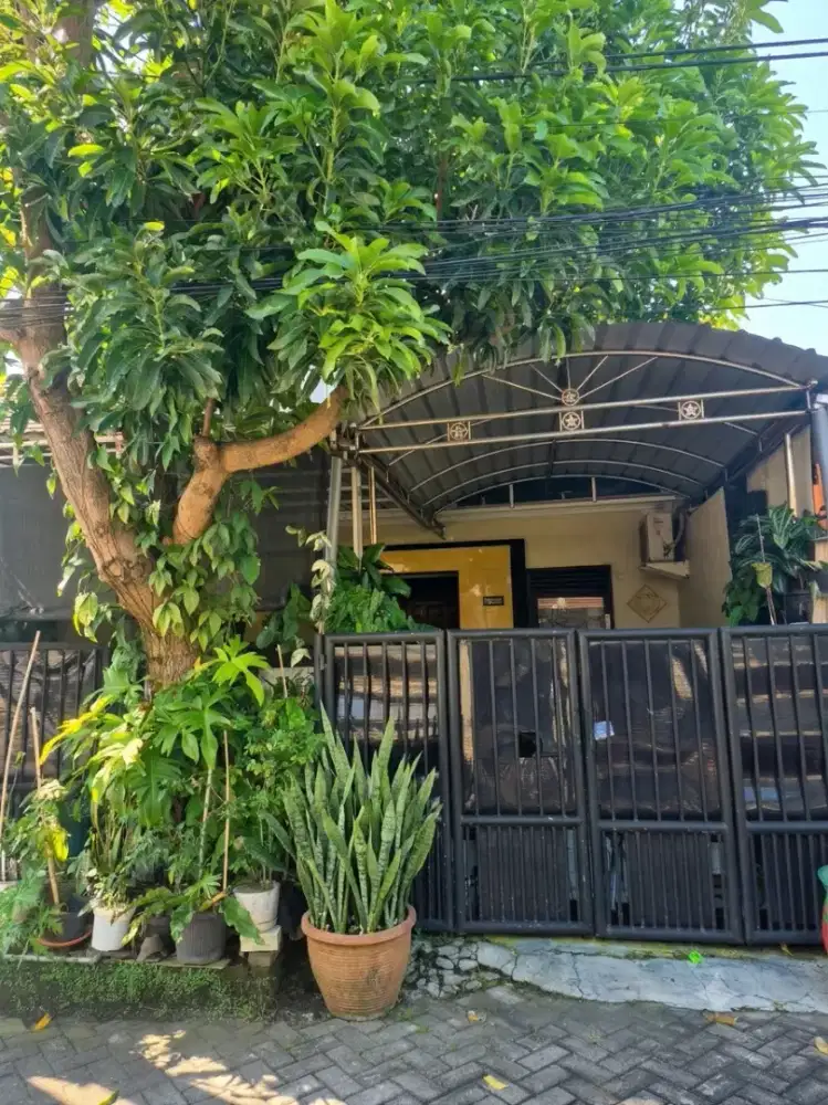 DIJUAL RUMAH DI SEDATI - NYAMAN, AMAN, & STRATEGIS