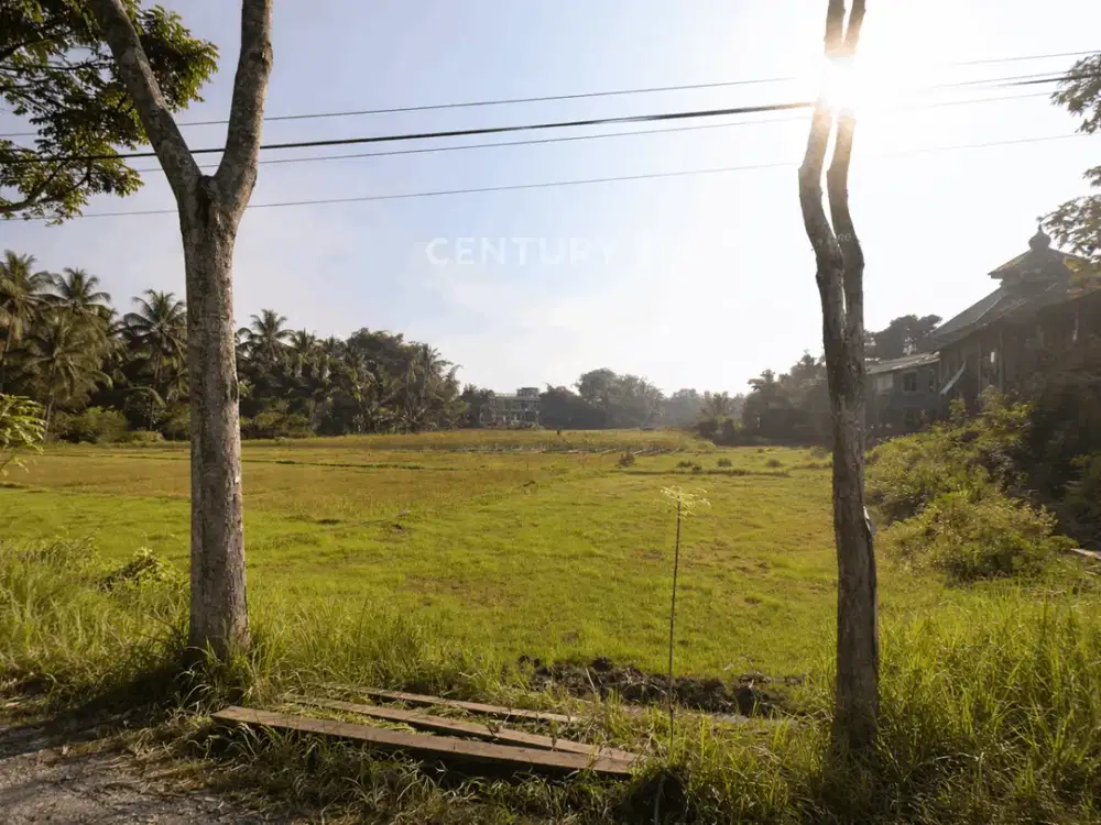 Tanah Luas 9130m2 Dekat Candi Borobudur Ideal Untuk Bisnis