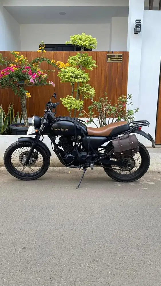 tiger 2000 custome scrambler