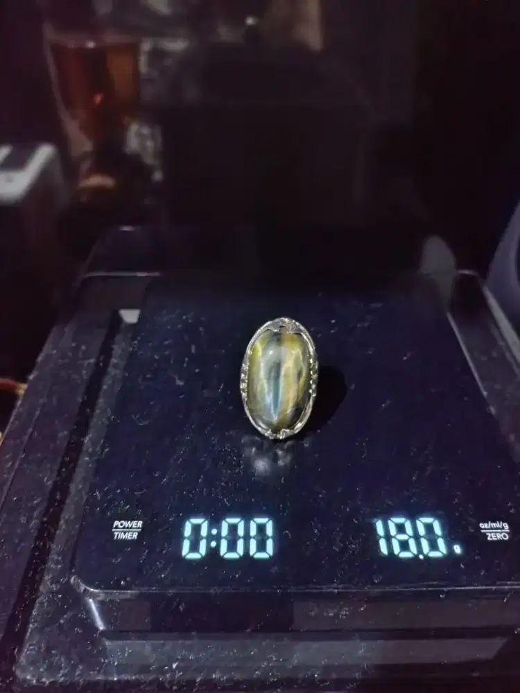 Batu bulu macan hologram