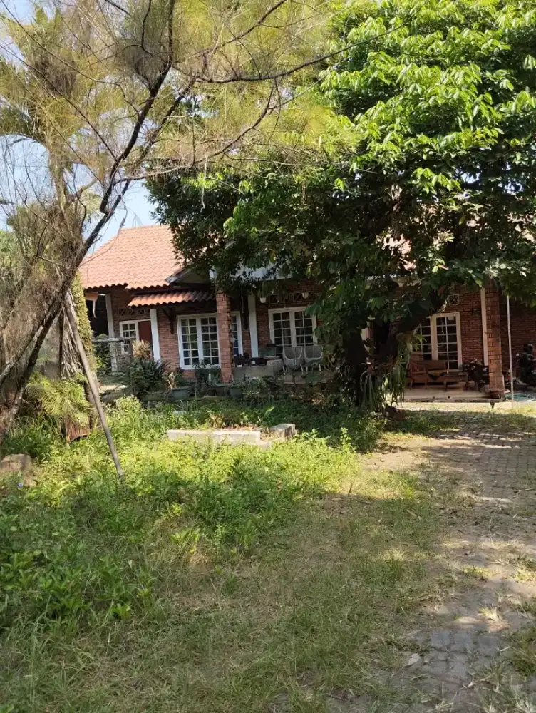 Rumah rasa villa