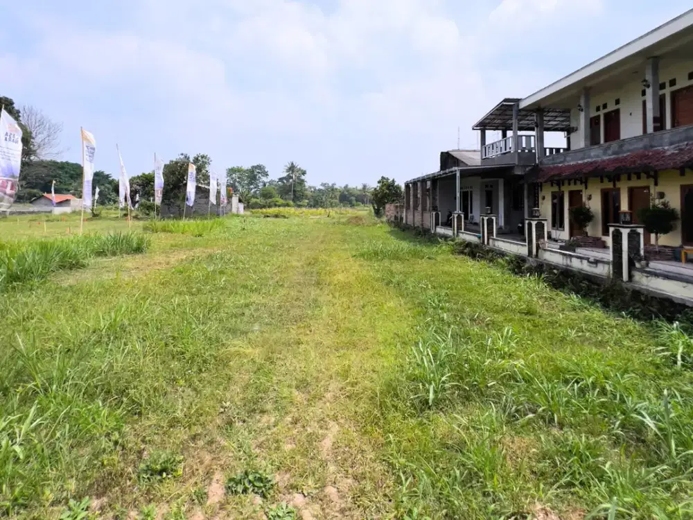 Tanah Utara Jejamuran Area Palagan SHM Pekarangan
