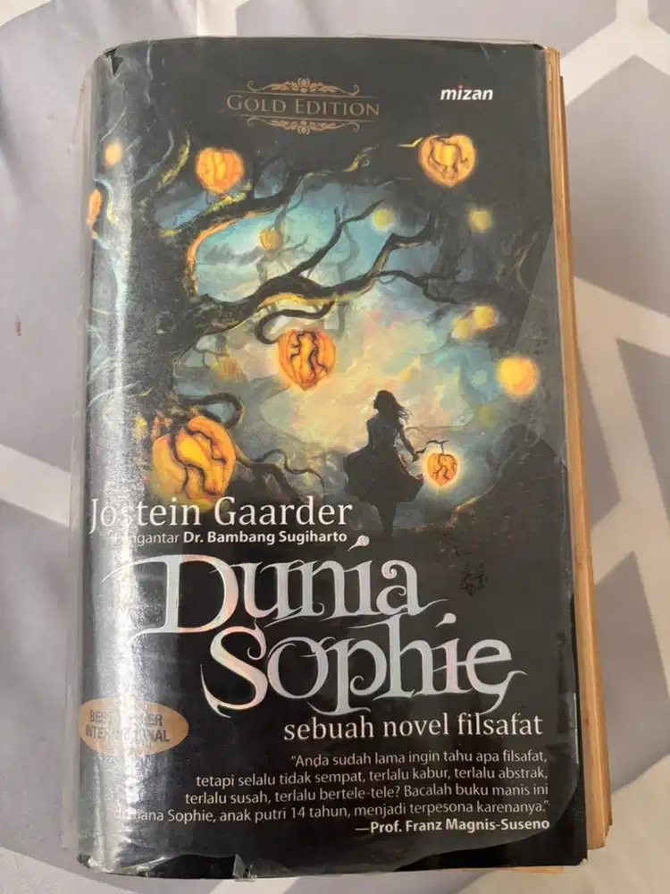 Buku novel Dunia Sophie second