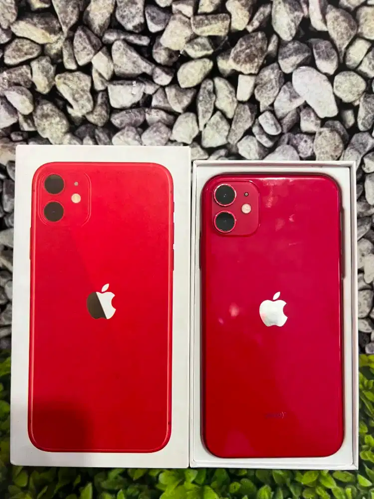 iPhone 11 64Gb Regis