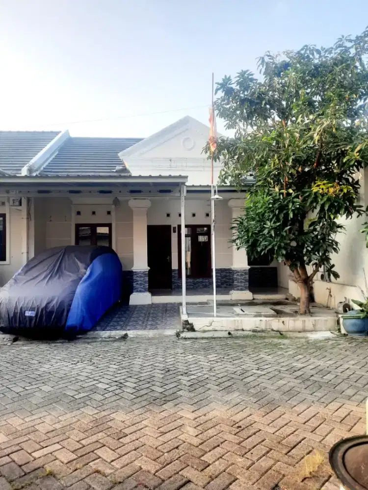 Rumah dikontrakan di Zamrud Tegal tahunan