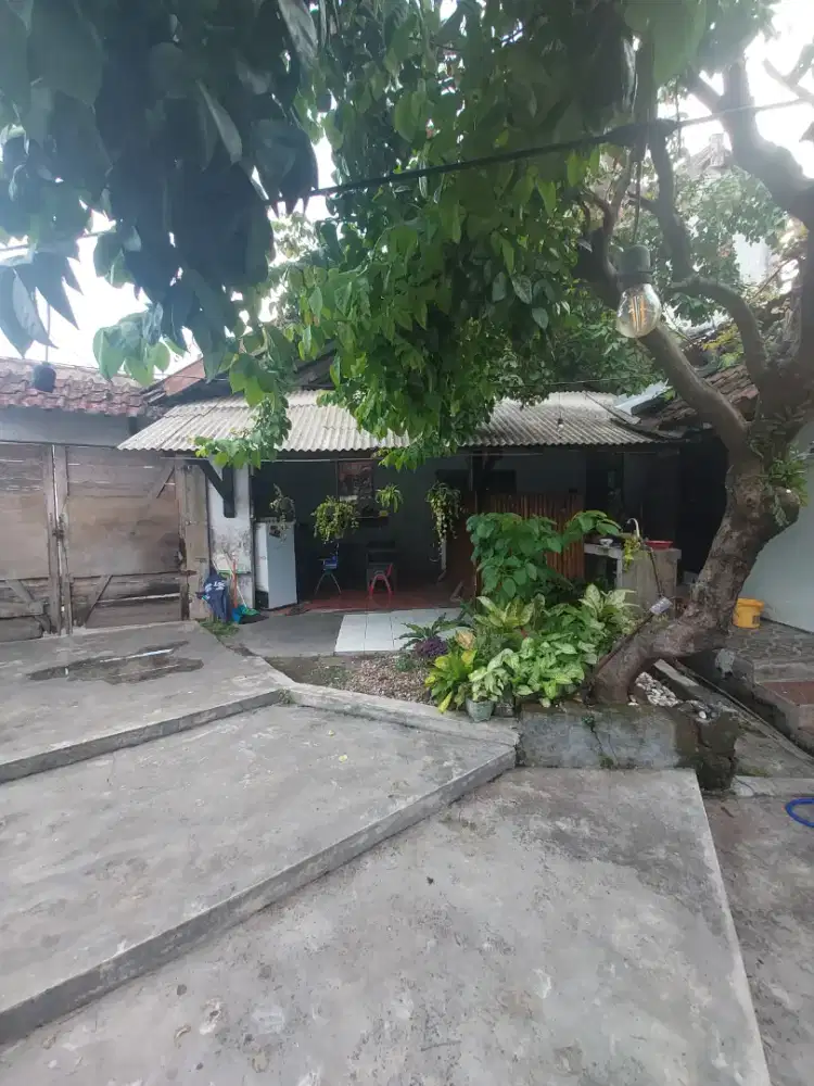 Rumah Hook di Sulfat Hijau dan Asri