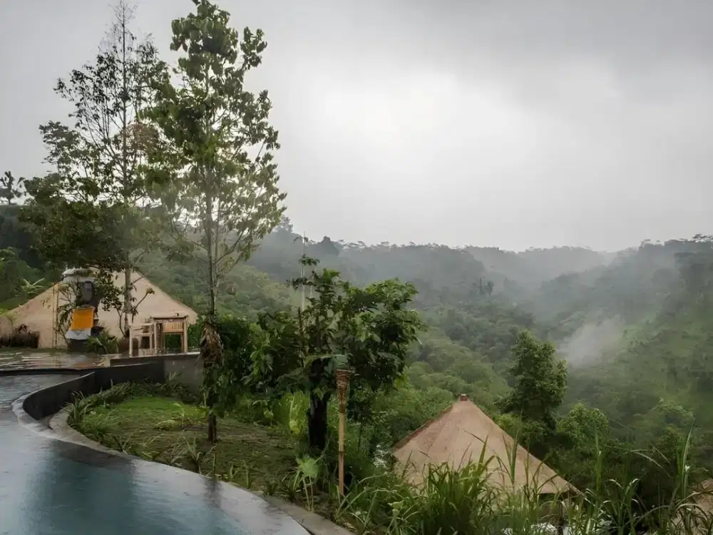 Dijual Tanah di Tegalalang Ubud Zona Kuning