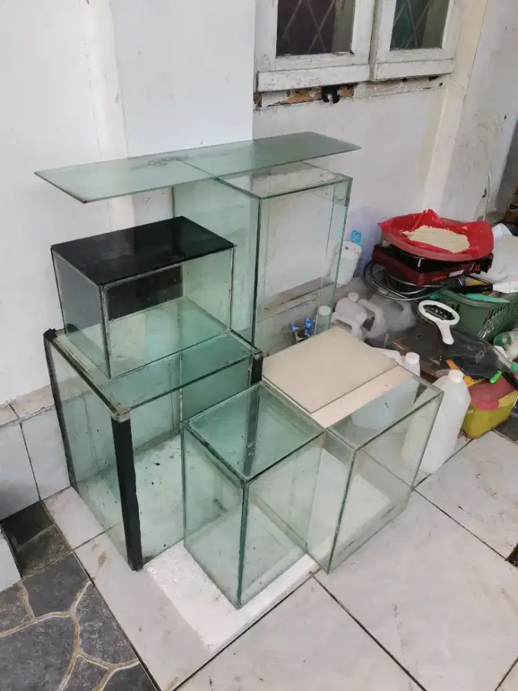 Aquarium 5 buah tinggal pakai