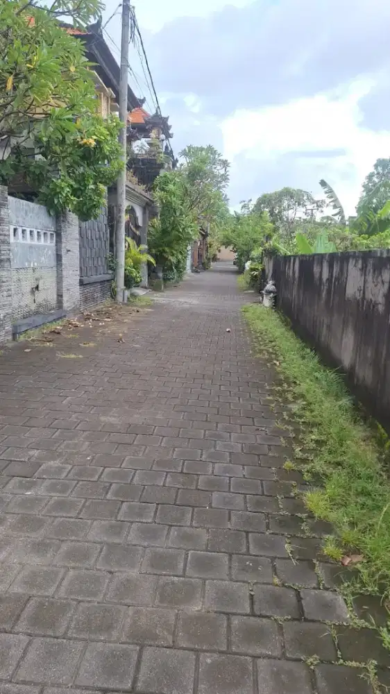 Di jual tanah Kavling jalan Siulan , DPS, Bali