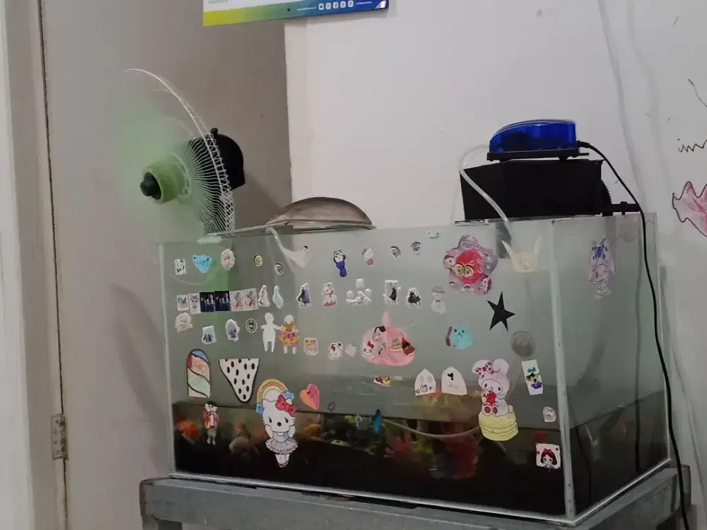 Aquarium kaca saja, tanpa meja aquarium