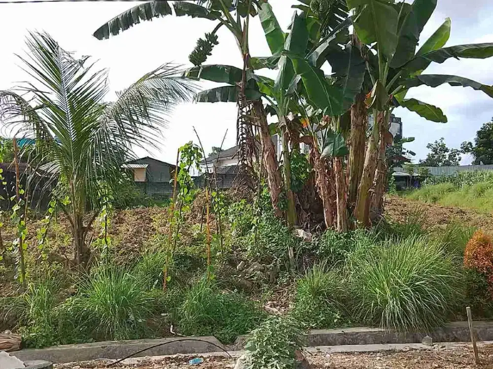 Dijual Tanah dijuanda 4 poros jalan