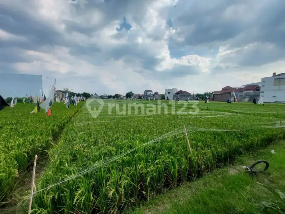 Tanah Kavling Siap Bangun Dikarangasem Kampus Cocok Buat Kost