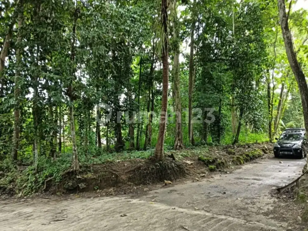Tanah Di Kulonprogo 691m Tengah Kota Dekat Akses Wisata Strategis
