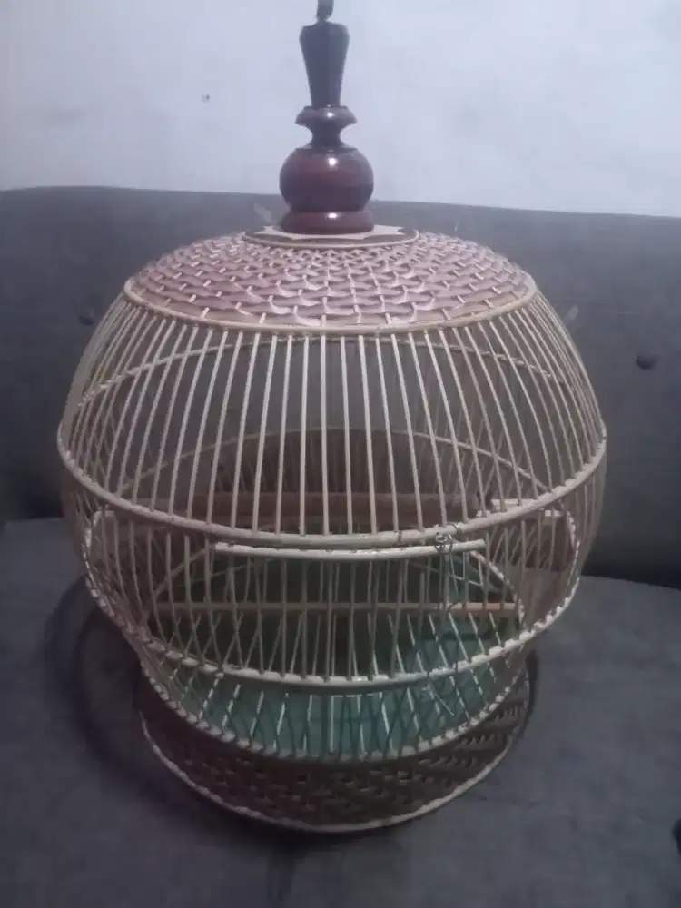 Sangkar tekukur baru