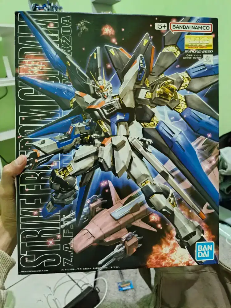 MG 1/100 STRIKE FREEDOM GUNDAM | BANDAI