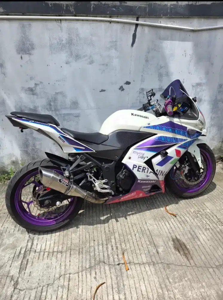 Ninja karbu 250