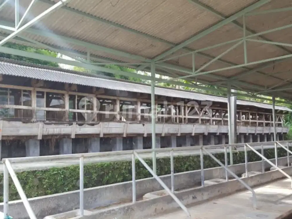 Kandang Sapi Aktif + Villa Murah Di Lembang Strategis Bandung