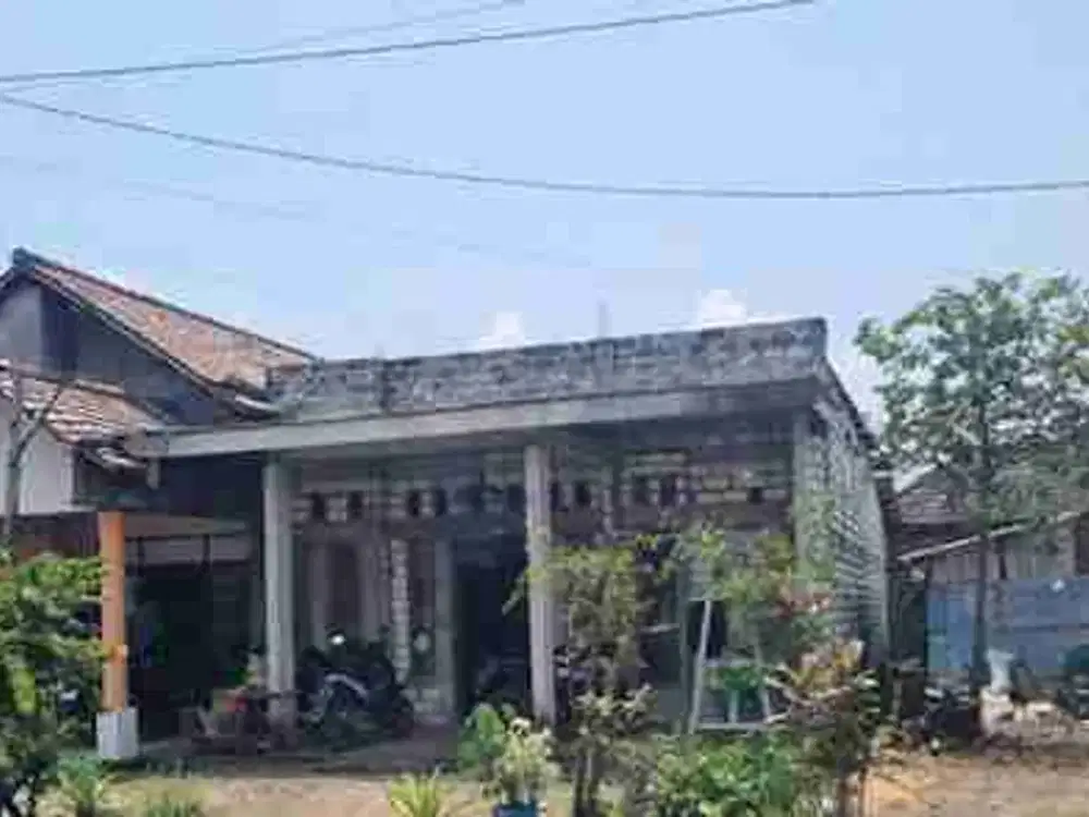 DI JUAL RUMAH

KEL. :  TENGGOR 
KEC. : BALONG PANGGANG 
KAB  : GRESIK