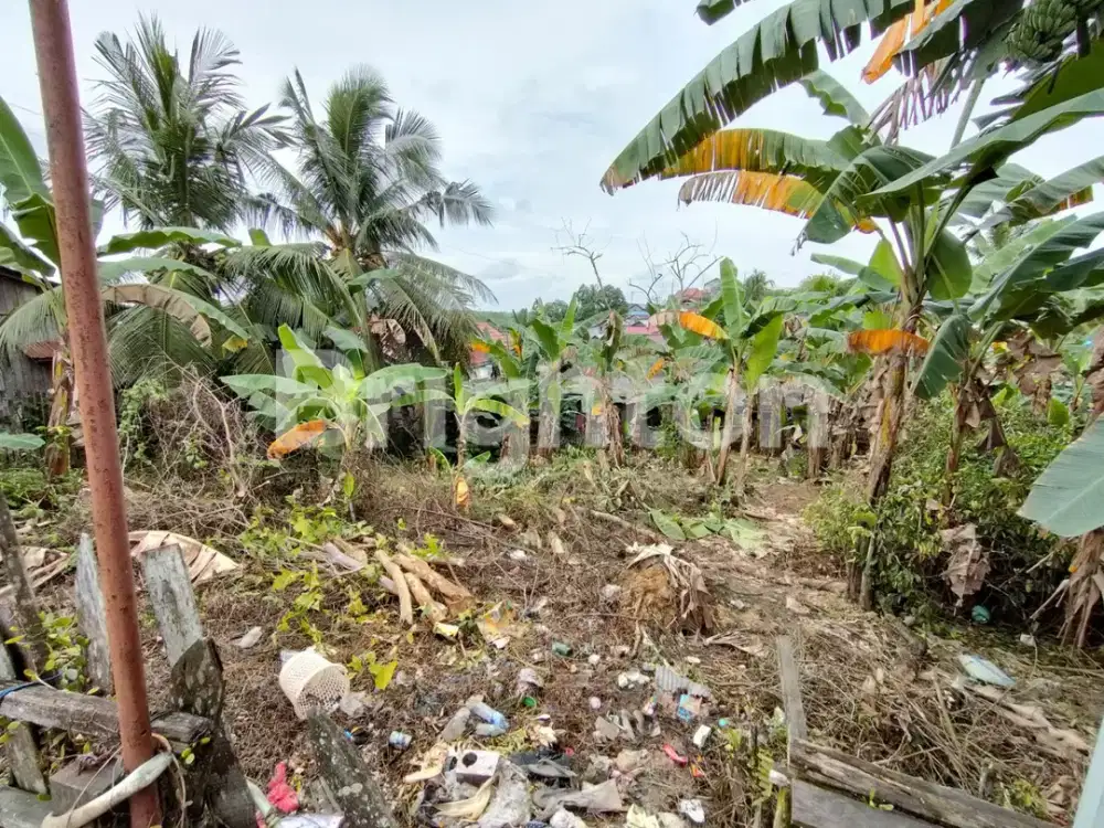 BALIKPAPAN, TANAH BONUS BANGUNAN (L484)