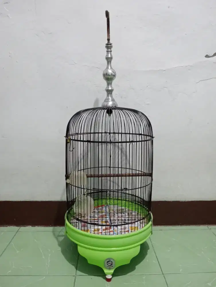 Kandang Ebod tebok pvc
