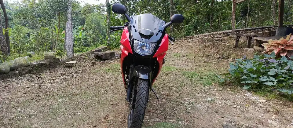 Ninja RR 150 2013