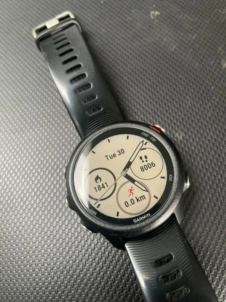 Garmin 245 music edition
