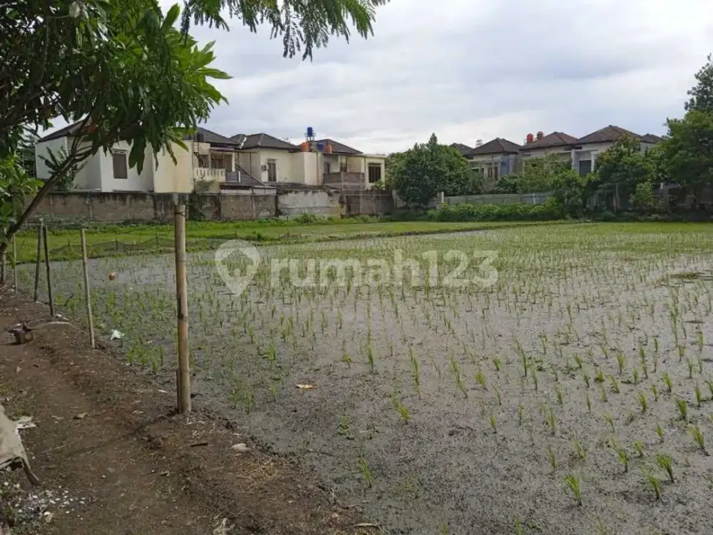 Tanah Sawah Aktif 1,6 Ha SHM Area Margacinta Ciwastra Buah Batu