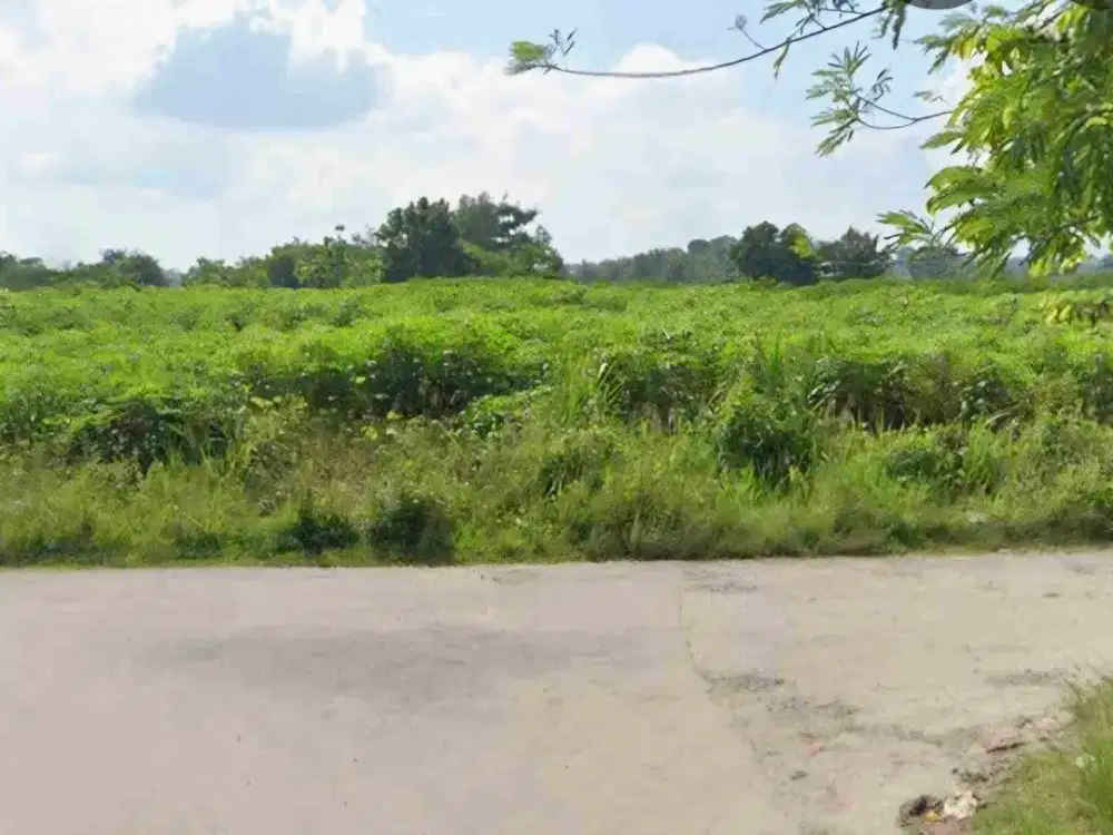 tanah 35 hektar dekat pintu tol natar