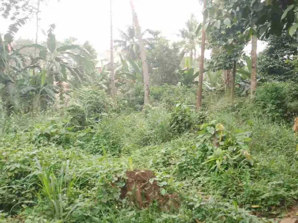 tanah 5000 meter di gunter langkapura
