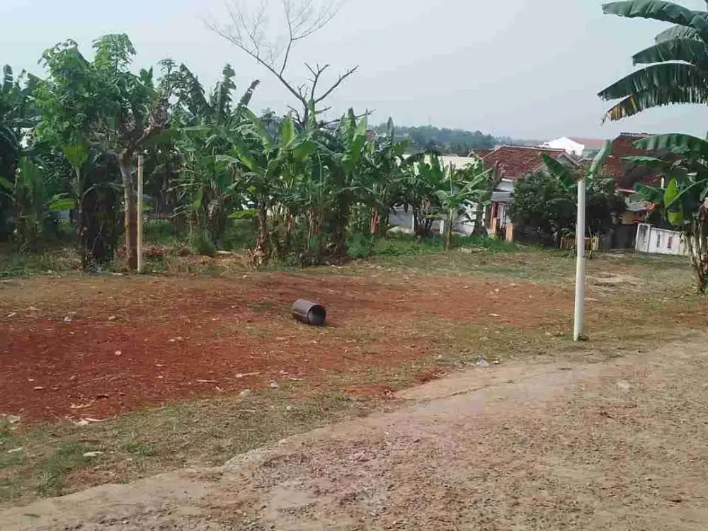 tanah 2500 meter di gunter langkapura