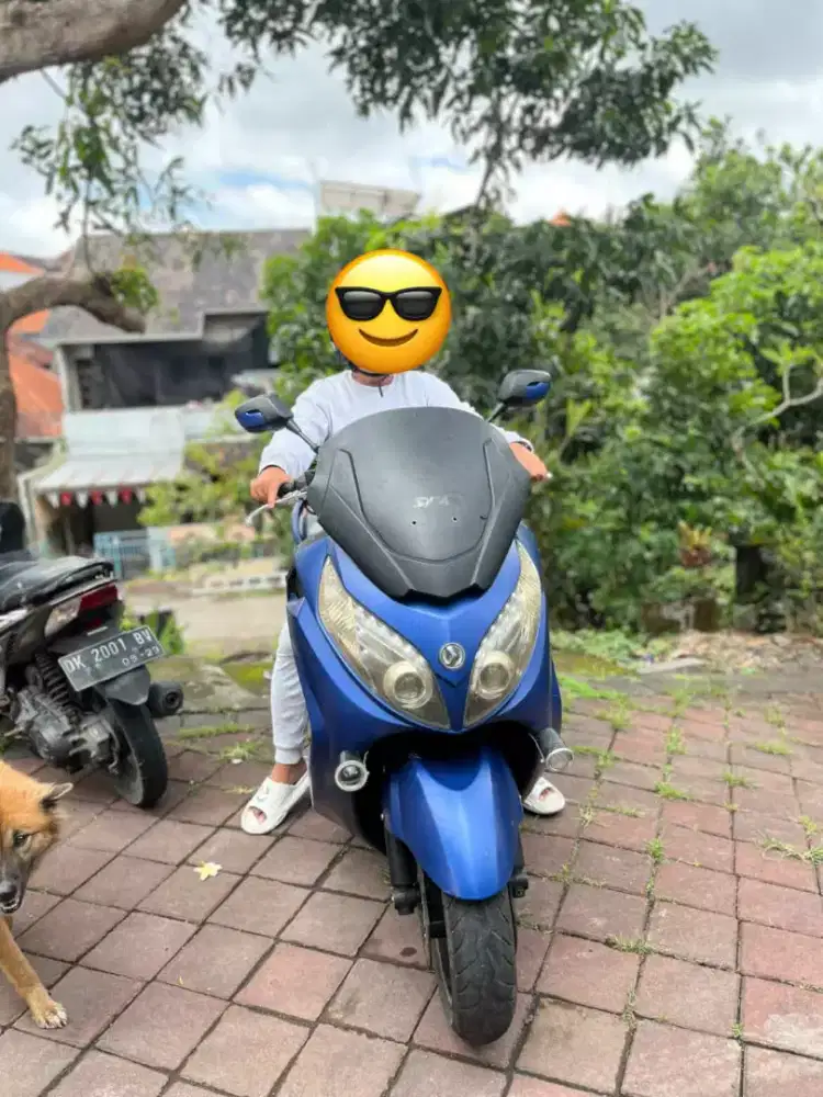 maxSym400i  moge full paper
