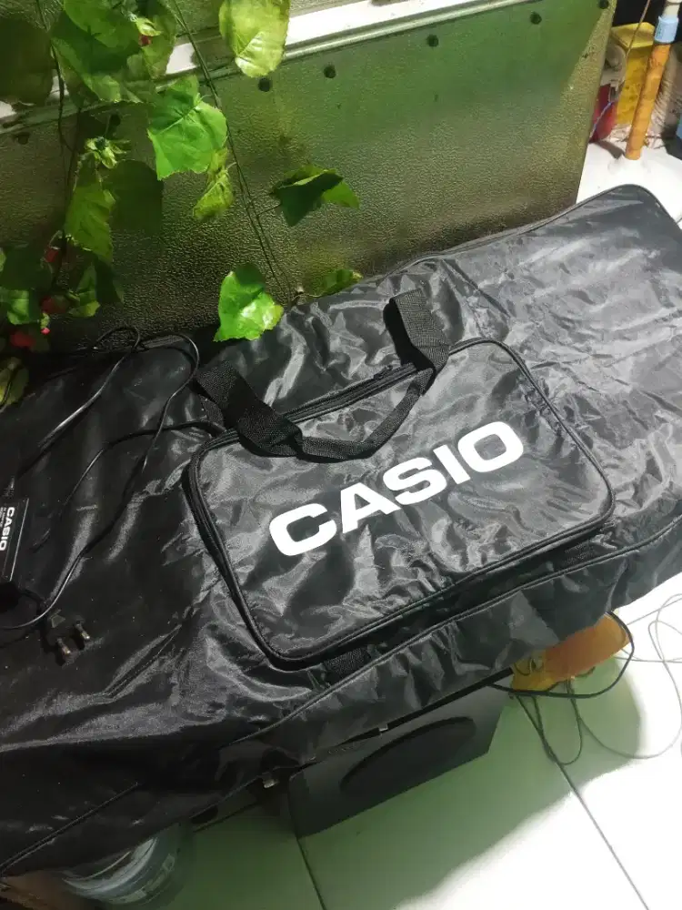 Orgen Casio ctk 6250