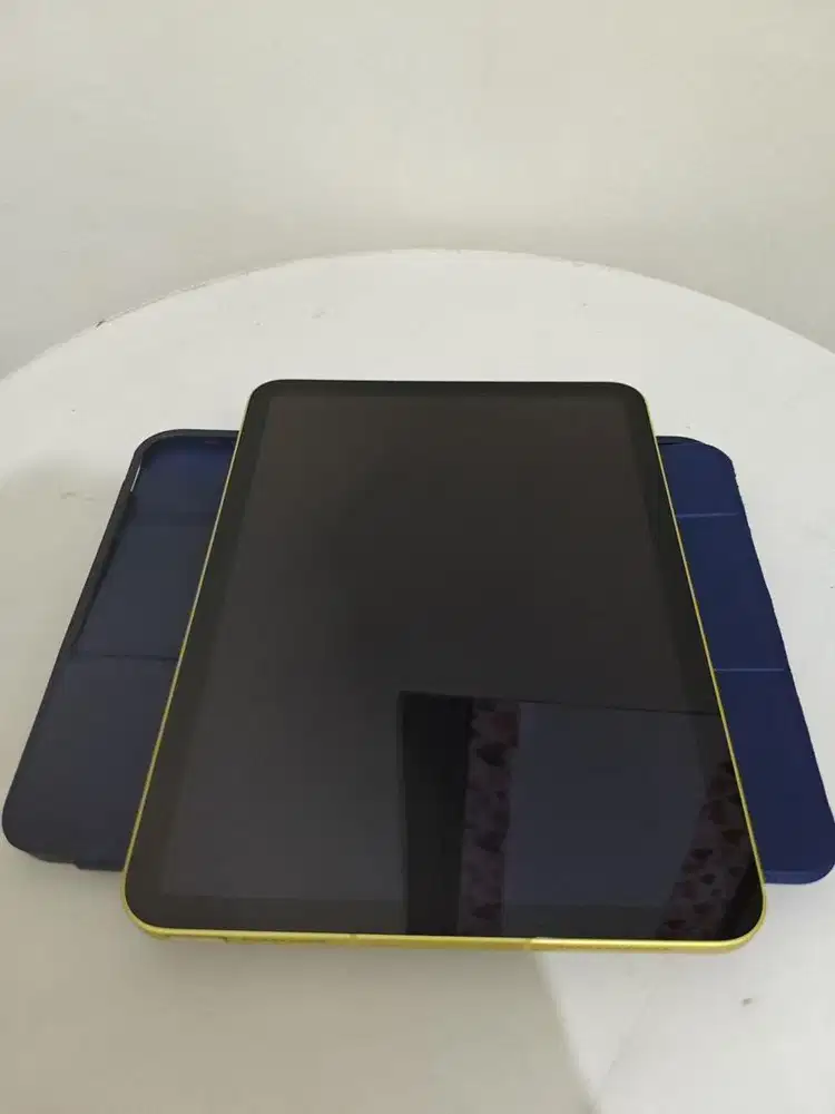 Ipad A16 (Wiffi + Celluler)