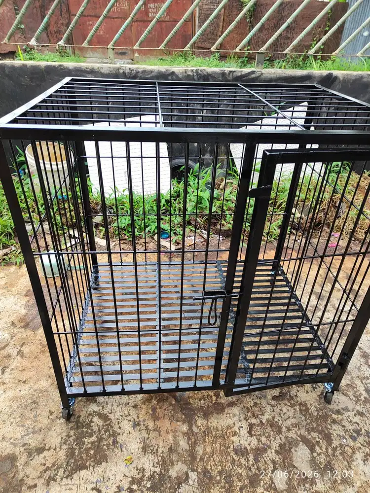 Kandang Anjing ras Besar