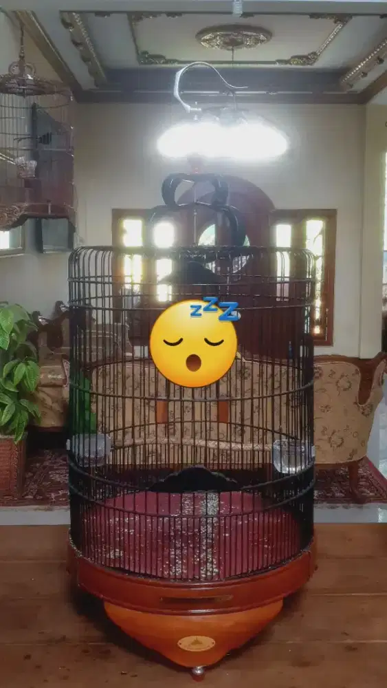 SANGKAR BULAT D45