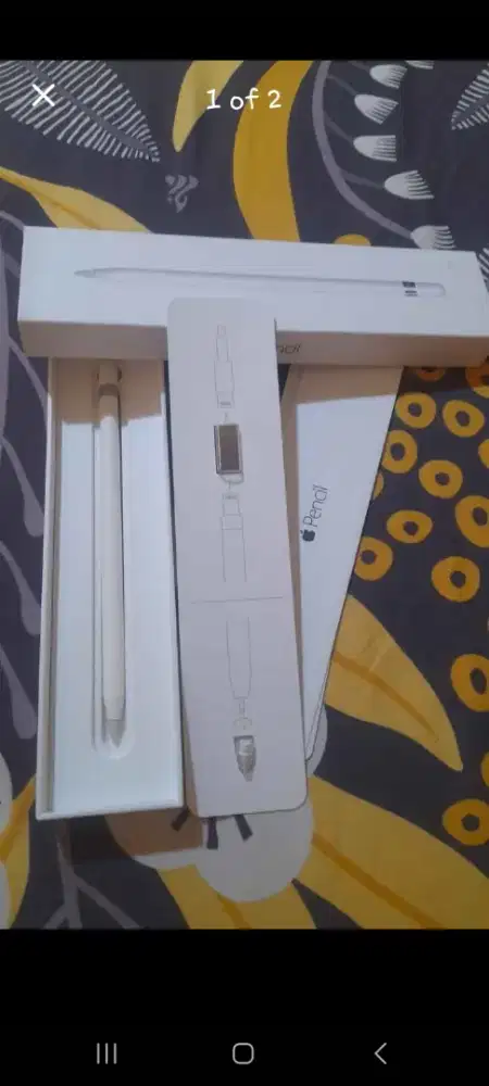 Pencil apple 2015
