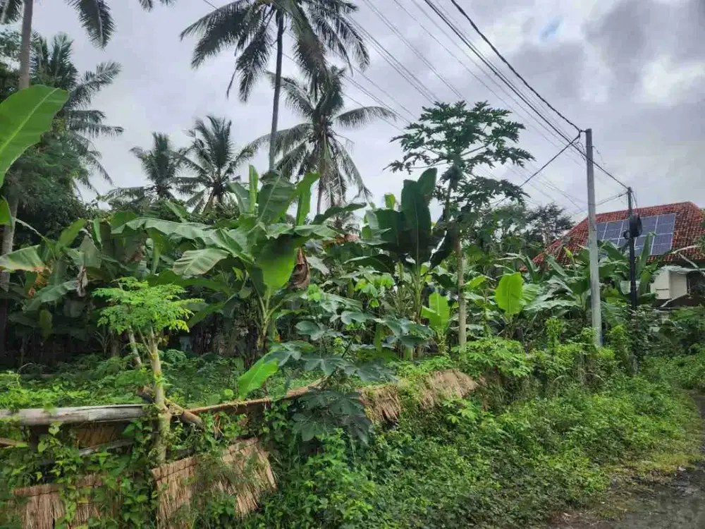 Tanah Lingkungan Villa Ubud Harga Menarik