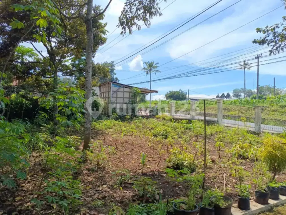 Tanah Kebon Cocok untuk Villa atau Perumahan, Dekat ke Tanjungsari, Kampus Unpad ,Di Sumedang