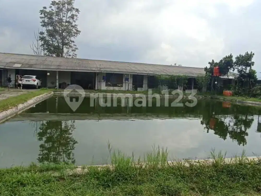 Tanah Dengan Kolam Cocok Utk Villa Di Lembang