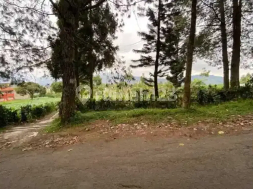 Tanah Bagus Untuk Villa Di Area Kota Lembang Bandung