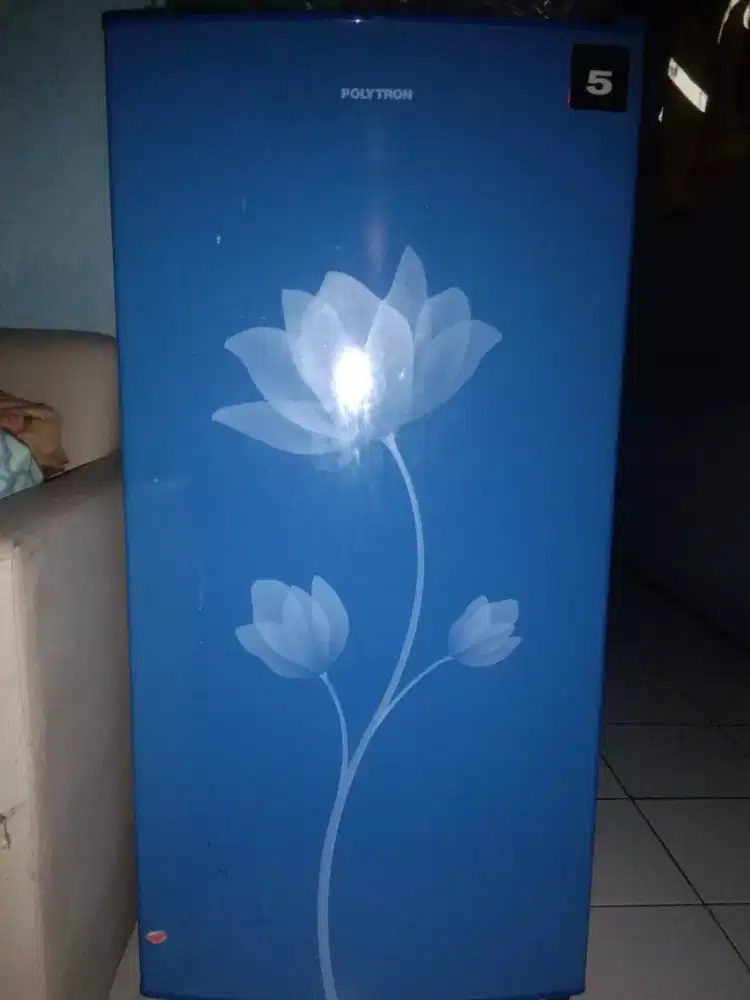 Kulkas 1 pintu polytron