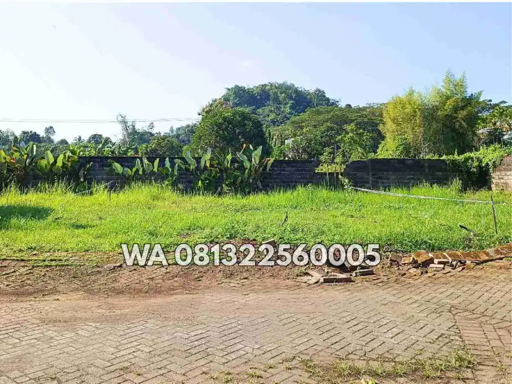 TANAH DEPAN INTERNATIONAL SCHOOL PELITA HATI KAMPUS JEMBER