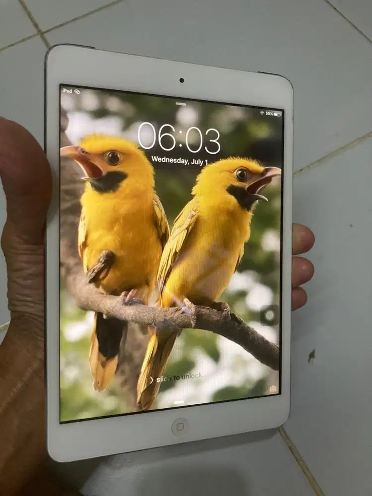 iPAD mini 1, 16GB, Wifi Only