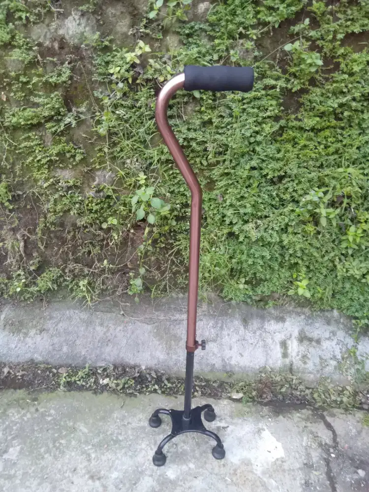Alat bantu jalan kaki