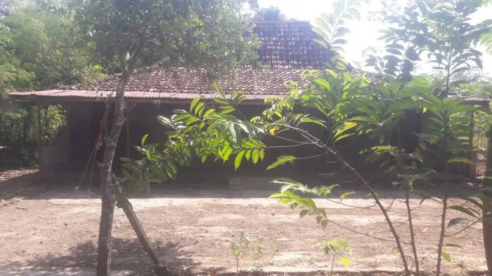 Dijual rumah + tanah 560 M murah sangat dekat RS, Balai Desa dan POM