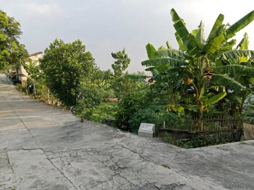 Tanah Siap Bangun Strategis Hadap 3 Muka Jalan,Wonorejo Gondangrejo