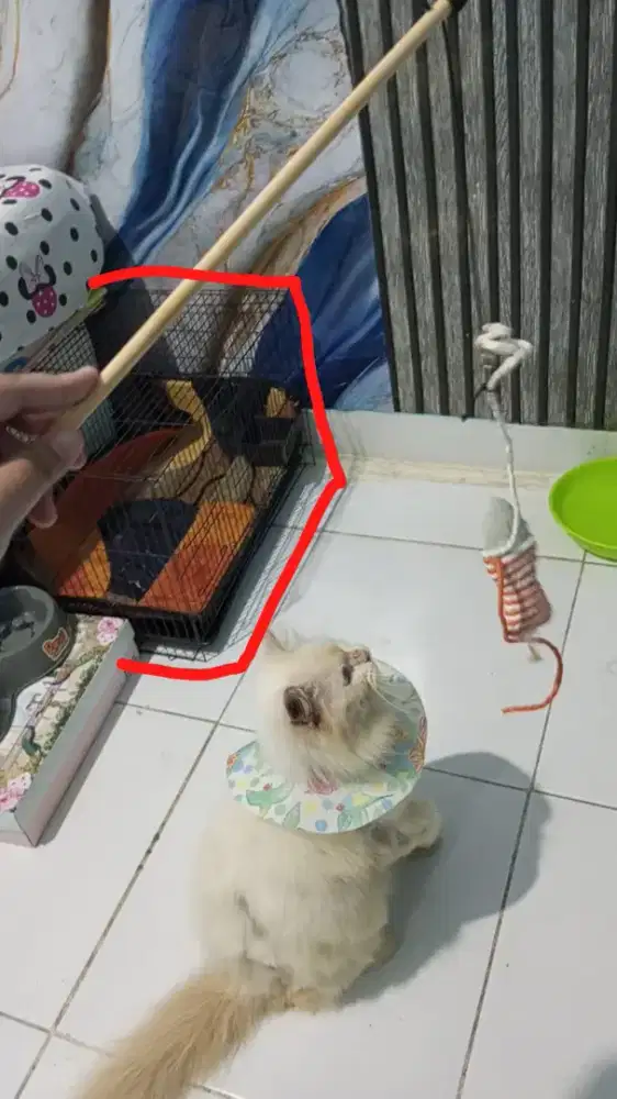 KANDANG BESI LIPAT KUCING
