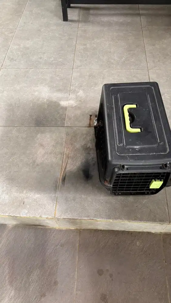 Pet Cargo Hitam Medium